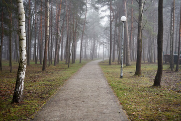 chodnik w parku , mgła 
