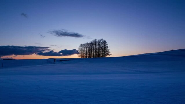 嬬恋高原カラマツの丘から雪原の日の出Timelapse