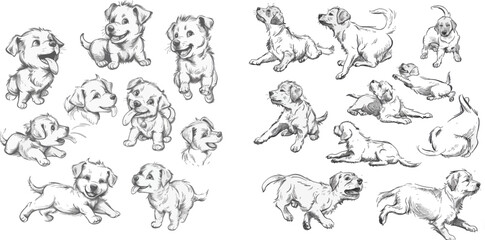 Cute hand drawn adorable puppies, line dog characters playing sitting jumping