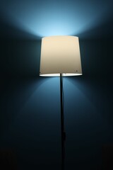 a floor lamp in the dark in a dark room, with a white lamp