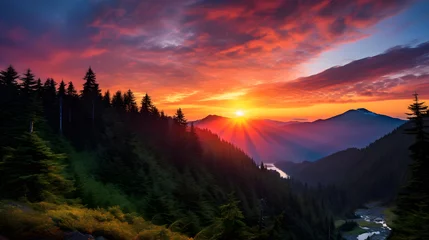 Abwaschbare Fototapete Radiant Sunset Over Verdant Landscape: A Celebration of Breathtakingly Exuberant Nature © Katie