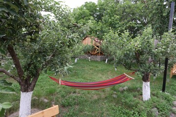 Hammock suspended between two trees in a lush grassy yard, perfect for a peaceful outdoor break