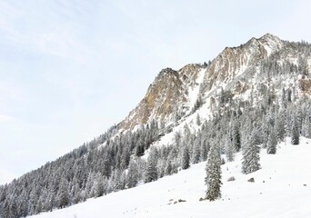 Close up of a rocky mountain covered in snow and evergreen trees