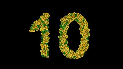 Beautiful illustration of number 10 with yellow flowers and green leaves on plain black background