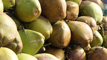 Coconuts stacked for sale in a beach shop