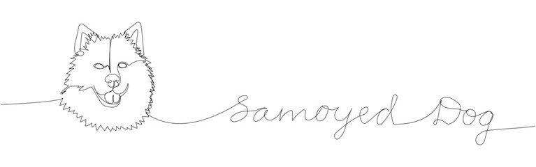 Samoyed, sled dog, aboriginal breed, companion dog one line art. Continuous line drawing of friend, dog, doggy, friendship, care, pet, animal, family, canine with inscription, lettering, handwritten.