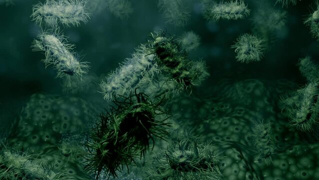 animation of bacterias 02