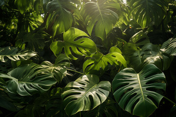 Generative Ai of monstera flowers in the jungle. 