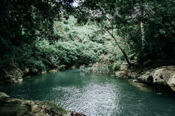 Green water river in the forest