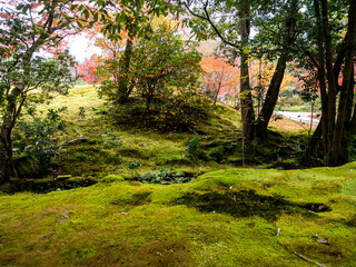 Autumn landscape in the Insuien Garden in Nara, Japan.