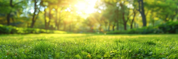  Beautiful spring nature with a neatly trimmed lawn surrounded by trees against a blue sky background with clouds on a bright sunny day.banner.Beautiful summer natural landscape spring grass © Nice Seven