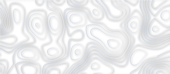 Abstract topographic contours 3d map background .topographic line texture background .monochrome image .stylized height of the topographic map contour in lines.	