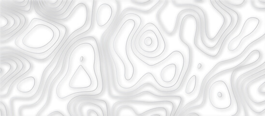 Abstract topographic contours 3d map background .topographic line texture background .monochrome image .stylized height of the topographic map contour in lines.	