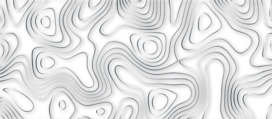 Fototapeta premium Abstract topographic contours 3d map background .topographic line texture background .monochrome image .stylized height of the topographic map contour in lines. 
