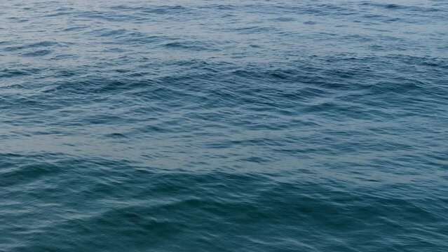 Blue surface of the ocean with calm waves on a sunny daytime