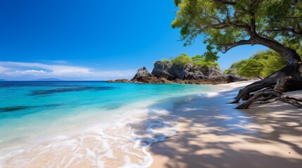 A paradise beach with crystal clear waters a rare and amazing sight to witness