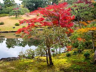 Autumn landscape in the Insuien Garden in Nara, Japan.