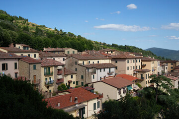 Fototapeta na wymiar Panoramic view from Cortona, Italy, at summer