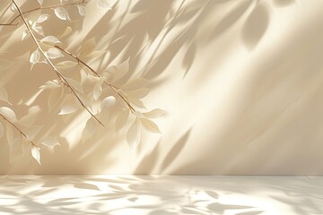 White and beige background with shadows and sunlight.