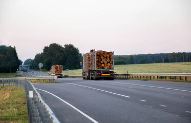 Two logging trucks transport round forest logs along the highway in the evening. Back view. Logging...