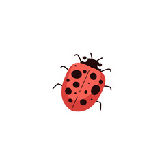 Fototapeta premium Ladybug or ladybird vector illustration, cartoon cute red beetle with black dots beautiful wild insect isolated on white