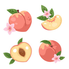 Hand-drawn Peaches