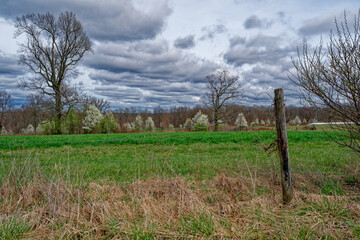 Farmland in early springtime