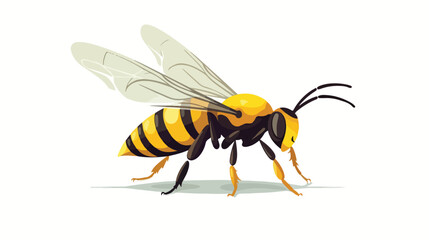 Honey bee wasp-like. flat vector isolated on white background