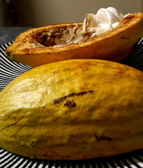 opened cacao pod with cocoa beans in white mucilage, theobroma cacao - obrazy, fototapety, plakaty