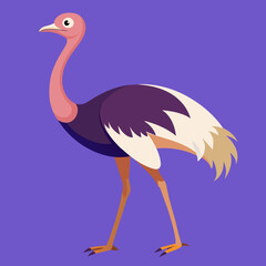 Ostrich vector illustration