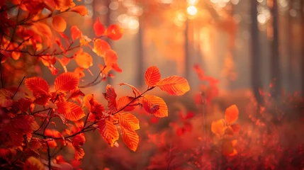 Rolgordijnen Vibrant Autumn Foliage Ablaze with Warm Hues in Lush Forest Landscape © Meta