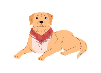 Labrador retriever lies, vector cute friendly pet with beige and white wool, cartoon dog with red neckerchief collar