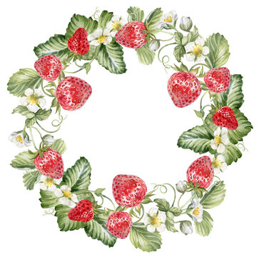 Watercolor strawberries wreath. Round border frame for natural products label. Illustration isolated on transparent background