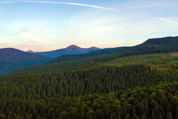 Aerial view of bright foggy morning over dark hills with mountain forest trees at autumn sunrise. Beautiful scenery of wild woodland at dawn