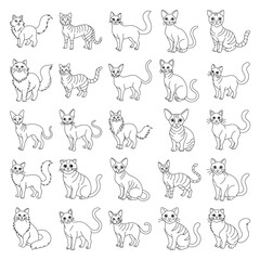 A collection of cats in various poses and positions