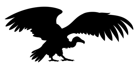 vulture 