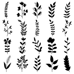 Collection of silhouette wildflowers elements.
