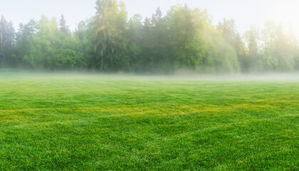 Tranquil dawn ambiance showcasing a manicured meadow surrounded by idyllic scenery, veiled in soft haze. Captivating spring panorama. - obrazy, fototapety, plakaty
