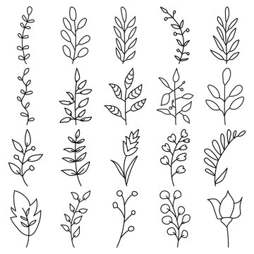 Line art wildflowers element collection.