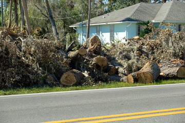 Heaps of limbs and branches debris from hurricane winds on street side waiting for recovery truck...