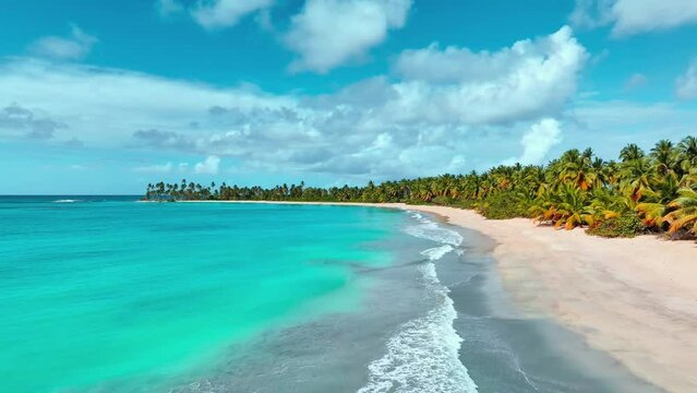 Idyllic and wonderful dream beach with palm trees on white sand and turquoise ocean. Tropical sea under blue sky. Travel and tourism concept background. Palm trees on the beach in Latin America.