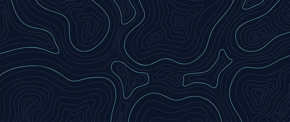 Topographic map pattern background vector. Abstract mountain terrain map background with abstract shape line texture. Design illustration for wall art, fabric, packaging, web, banner, wallpaper. © TWINS DESIGN STUDIO