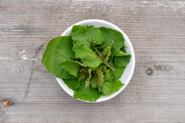 White bowl with fresh garlic mustard leaves on a wooden background