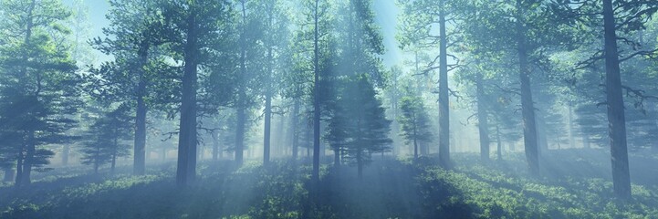 Fototapeta na wymiar Forest in the morning in a fog in the sun, trees in a haze of light, glowing fog among the trees, 3D rendering