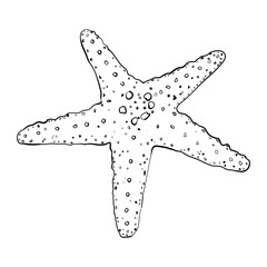 Starfish isolated on white. Modern creative line art graphics.Vector illustration. - 768904395