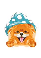 Cute smiling Pomeranian dog with blue amanita hat