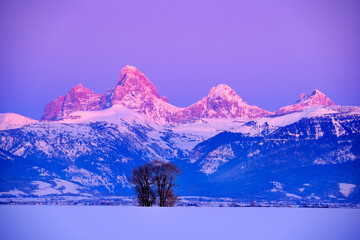 Teton Mountain Range Idaho Side Sunset Alpen Glow in Winter Blue Sky and Forest