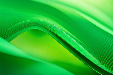 Fototapeta premium abstract green background