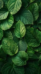 Lush Green Leaves Background