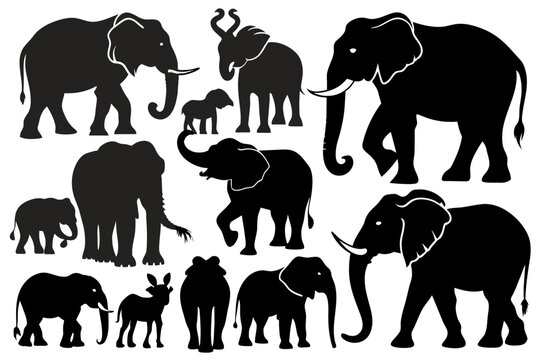 Various elephant silhouettes vector illustration